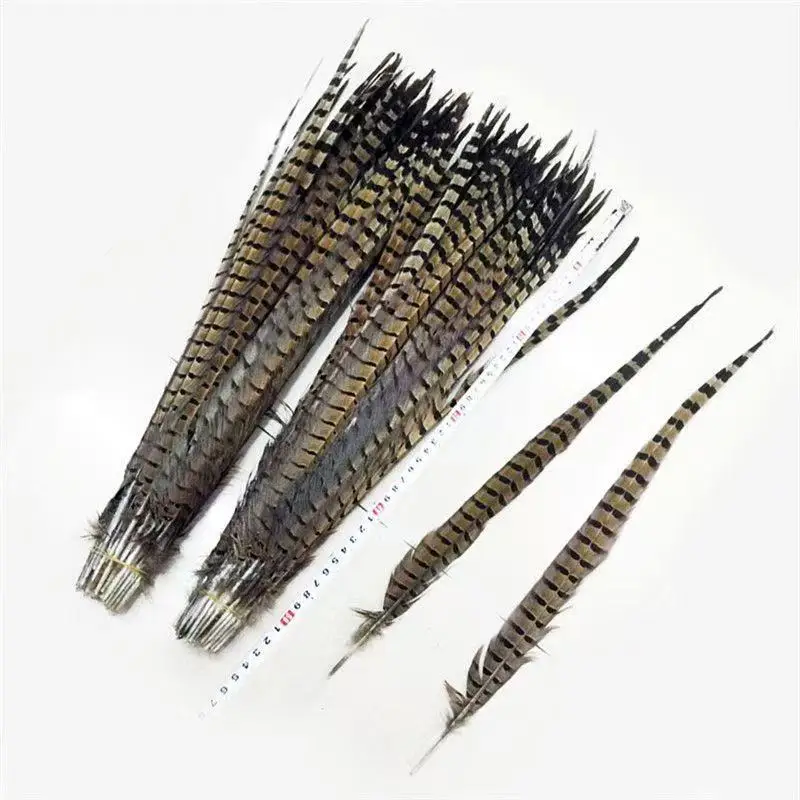 100PCS 60-65CM Ringneck Pheasant Tail Feathers Natural Real Lady Amherst Chicken Feathers for Crafts Wedding Decorations Plumes
100PCS 60-65CM Ringneck Pheasant Tail Feathers Natural Real Lady Amherst Chicken Feathers for Crafts Wedding Decorations Plumes