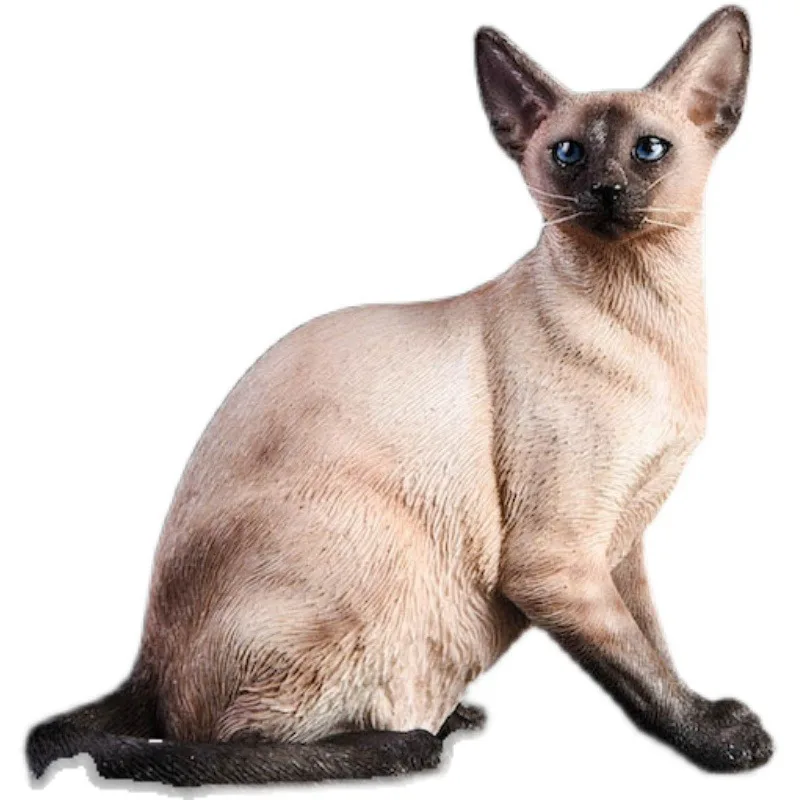 Siamese cat lying down, sitting model simulation pet cat peripheral animals figure car tabletop ornament
Siamese cat lying down, sitting model simulation pet cat peripheral animals figure car tabletop ornament