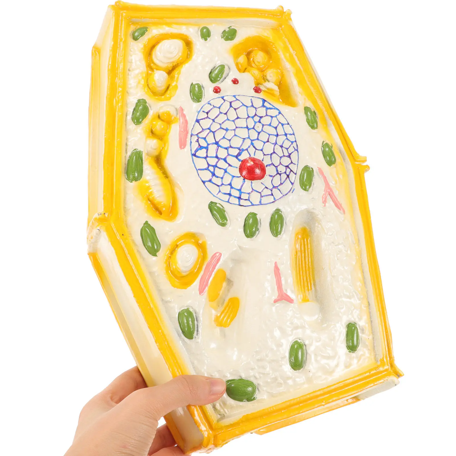 Biology Teaching Anatomical Plant Cell Science Display Educational Tool for Classroom Laboratory Teaching Aid Plant Cell Model
Biology Teaching Anatomical Plant Cell Science Display Educational Tool for Classroom Laboratory Teaching Aid Plant Cell Model