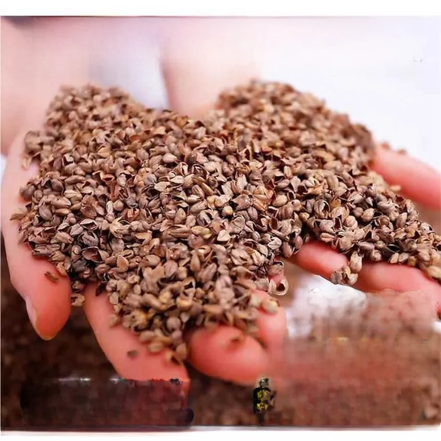 l Подушка из гречневой гречки, наполнитель с сердечником, успокаивающая подушка Sp Aid Top ade, 5 кг, шелковая ткань для одного человека, для взрослых
l Подушка из гречневой гречки, наполнитель с сердечником, успокаивающая подушка Sp Aid Top ade, 5 кг, шелковая ткань для одного человека, для взрослых