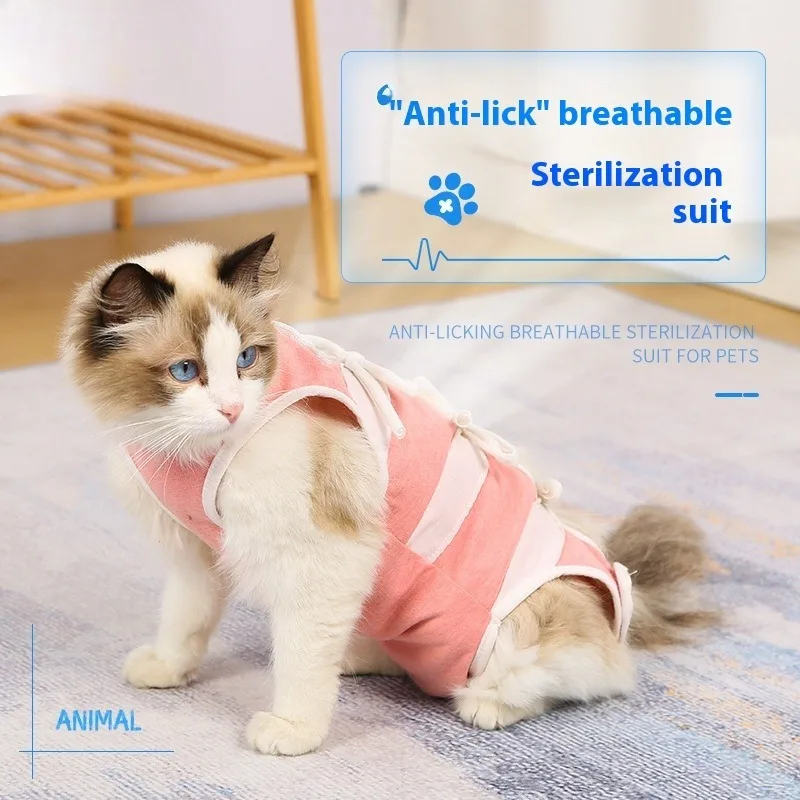 Cat Recovery Suit Post Surgery Adjustable E-Collar Alternative Spay Neuter Vest Pet Bodysuit Lick Prevention Wound Protection
Cat Recovery Suit Post Surgery Adjustable E-Collar Alternative Spay Neuter Vest Pet Bodysuit Lick Prevention Wound Protection