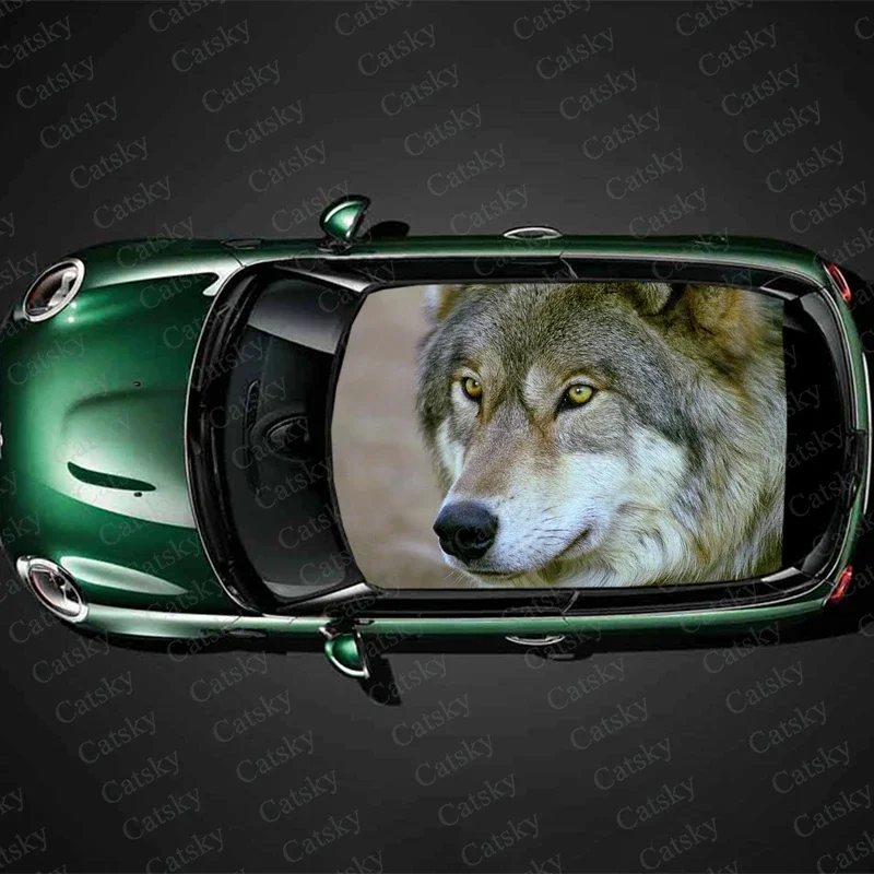 Coyotes wolf animal Car stickers decals car roof sunroof decoration stickers vinyl wrap modified itache car stickers decals
Coyotes wolf animal Car stickers decals car roof sunroof decoration stickers vinyl wrap modified itache car stickers decals