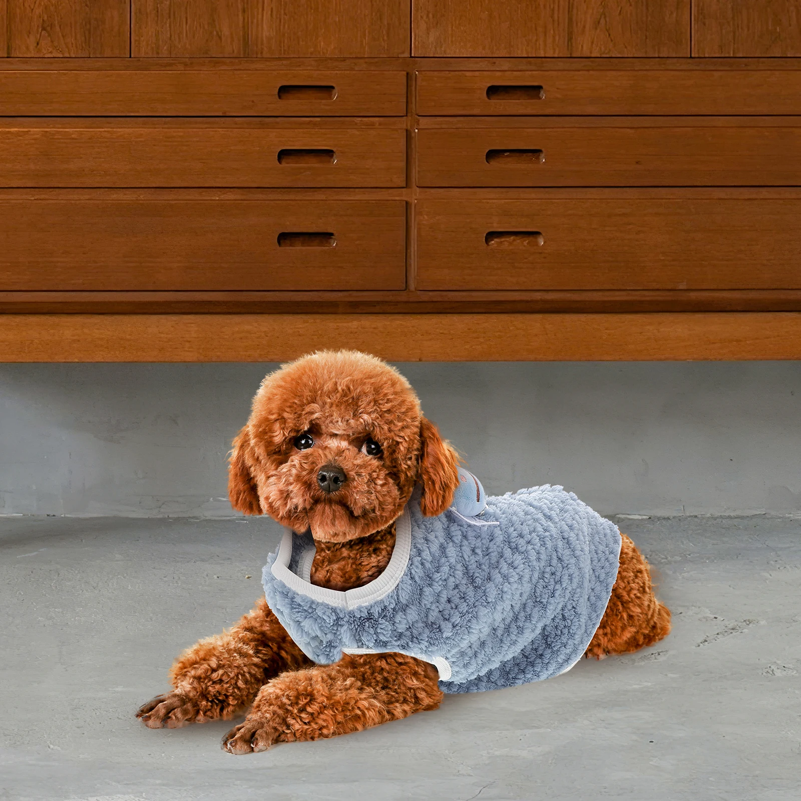 Pet Clothes Dog Shirts Small Cats Vest Summer Coral Fleece Puppy Lightweight Machine Washable Valentine Bee Pattern
Pet Clothes Dog Shirts Small Cats Vest Summer Coral Fleece Puppy Lightweight Machine Washable Valentine Bee Pattern