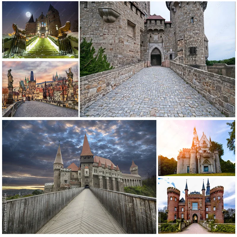 ZHISUXI Natural Scenery Photography Background Landscape Travel Castle Photo Backdrops Studio Props 211226 CB-03
ZHISUXI Natural Scenery Photography Background Landscape Travel Castle Photo Backdrops Studio Props 211226 CB-03