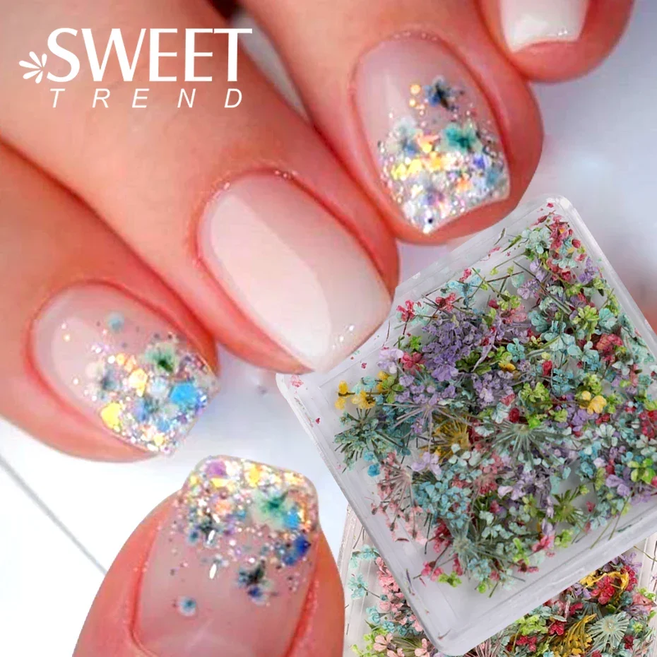 3D Dead Nature Nail Dried Flowers Nail Art Decorations Dry Flowers Manicure Floral Bloom Nail Art Beauty For Charms Accessories
3D Dead Nature Nail Dried Flowers Nail Art Decorations Dry Flowers Manicure Floral Bloom Nail Art Beauty For Charms Accessories