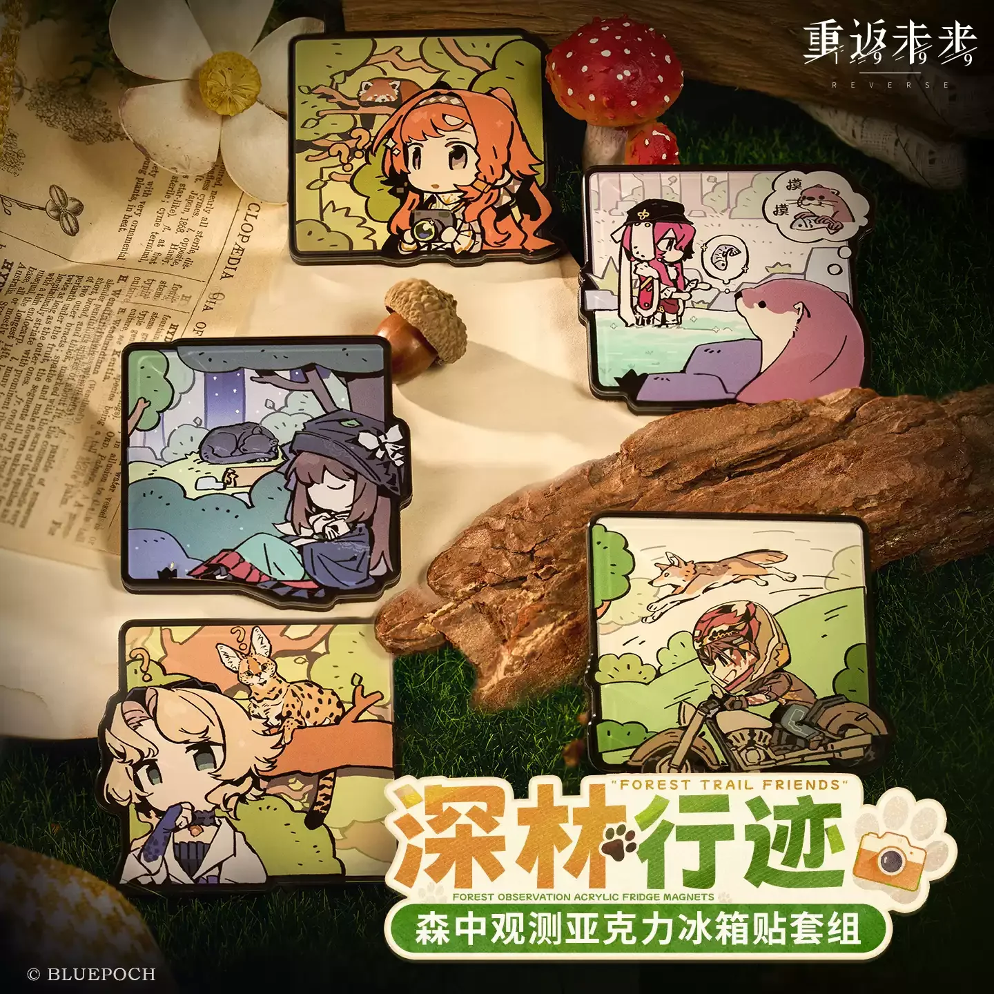 official Genuine Reverse:1999 *Deep Forest Trail* Forest Observation Acrylic refrigerator sticker Set - Sonetto Semmelweis J
official Genuine Reverse:1999 *Deep Forest Trail* Forest Observation Acrylic refrigerator sticker Set - Sonetto Semmelweis J