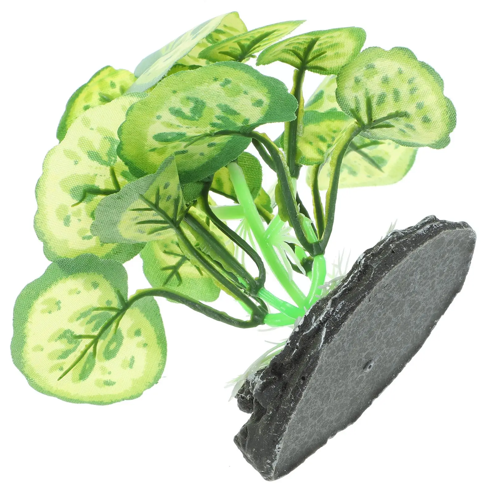 Artificial Plant Decorations for Fish Tank Aquarium SmallPlastic Plants Supplies Realistic Durable Ornament Salt Water
Artificial Plant Decorations for Fish Tank Aquarium SmallPlastic Plants Supplies Realistic Durable Ornament Salt Water