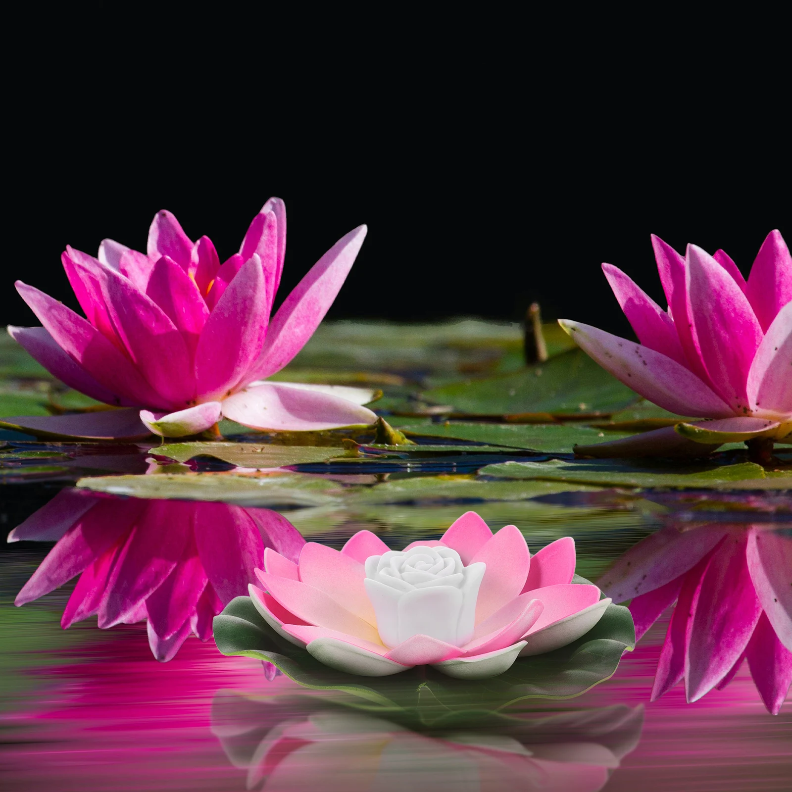 3 Pcs Lotus Pool Water Led Night for Pond Decorations Plastic Waterproof Garden Buddha
3 Pcs Lotus Pool Water Led Night for Pond Decorations Plastic Waterproof Garden Buddha