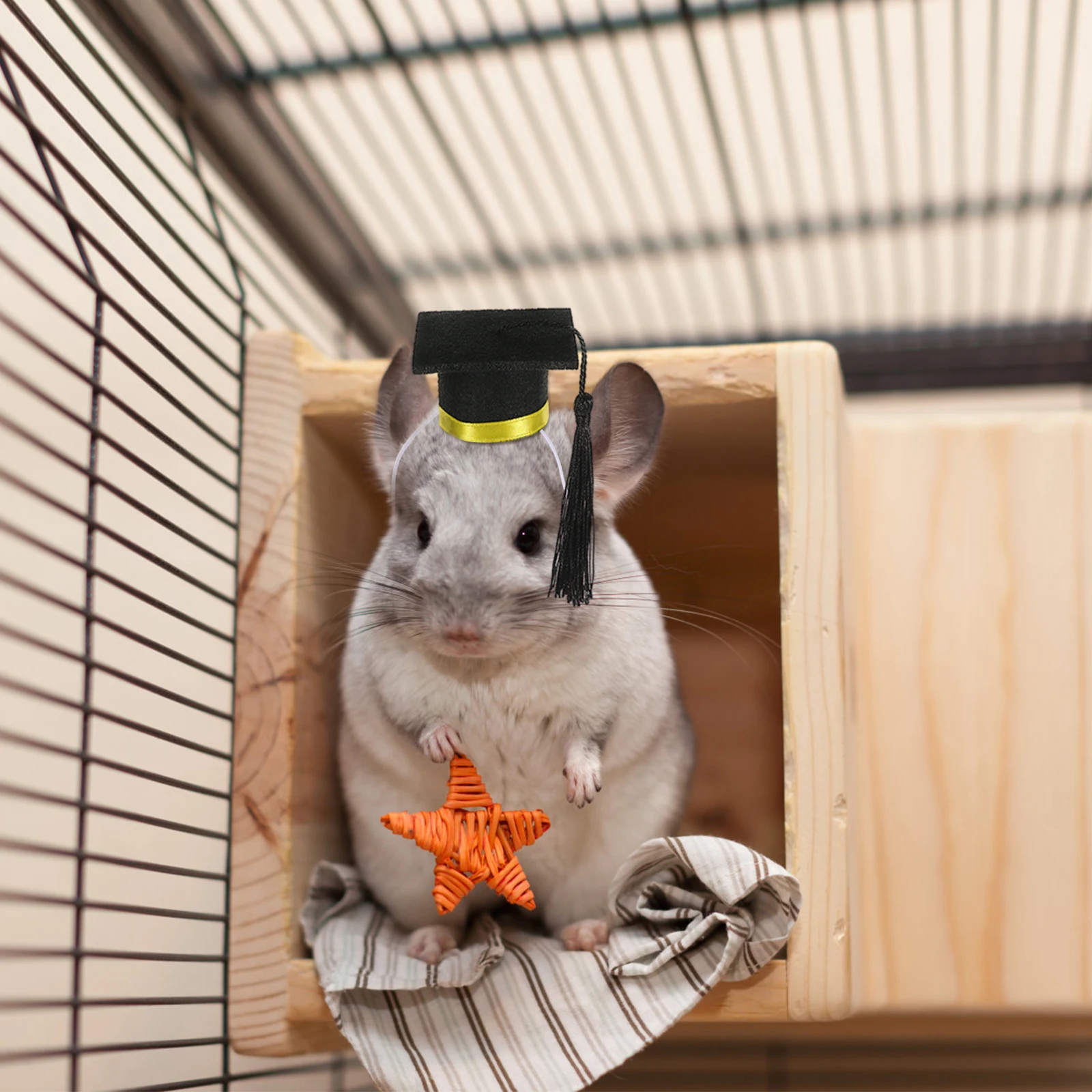 Small Pet Graduation Hat Mini Felt Hamster Graduation Cap Lightweight Tassel Pet Costume Photo Prop Small Animal Party Accessory
Small Pet Graduation Hat Mini Felt Hamster Graduation Cap Lightweight Tassel Pet Costume Photo Prop Small Animal Party Accessory
