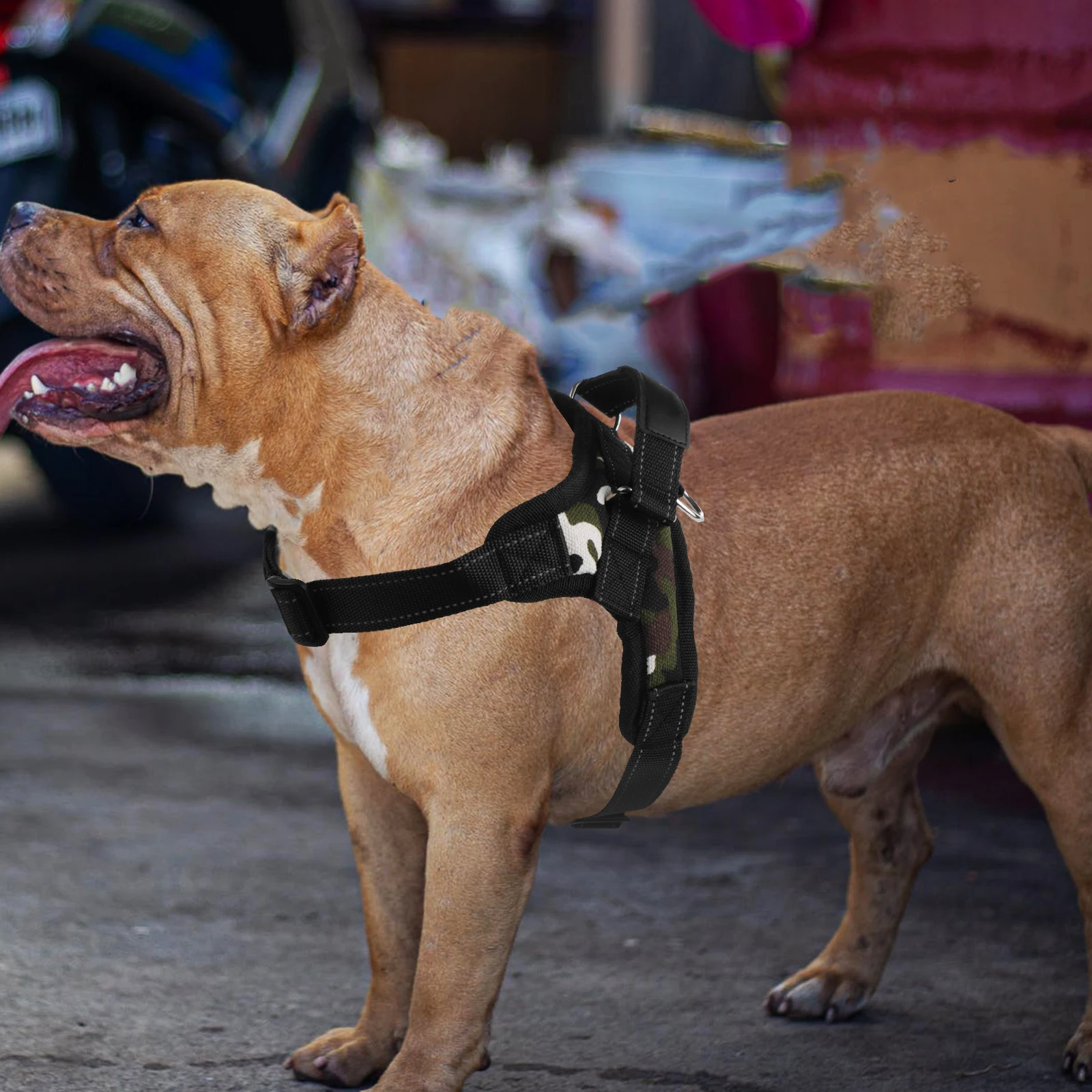 Dog Harness Oxford Cloth Camouflage Size Quick Release Buckle D Ring Comfortable Control Pet Chest Measurement
Dog Harness Oxford Cloth Camouflage Size Quick Release Buckle D Ring Comfortable Control Pet Chest Measurement