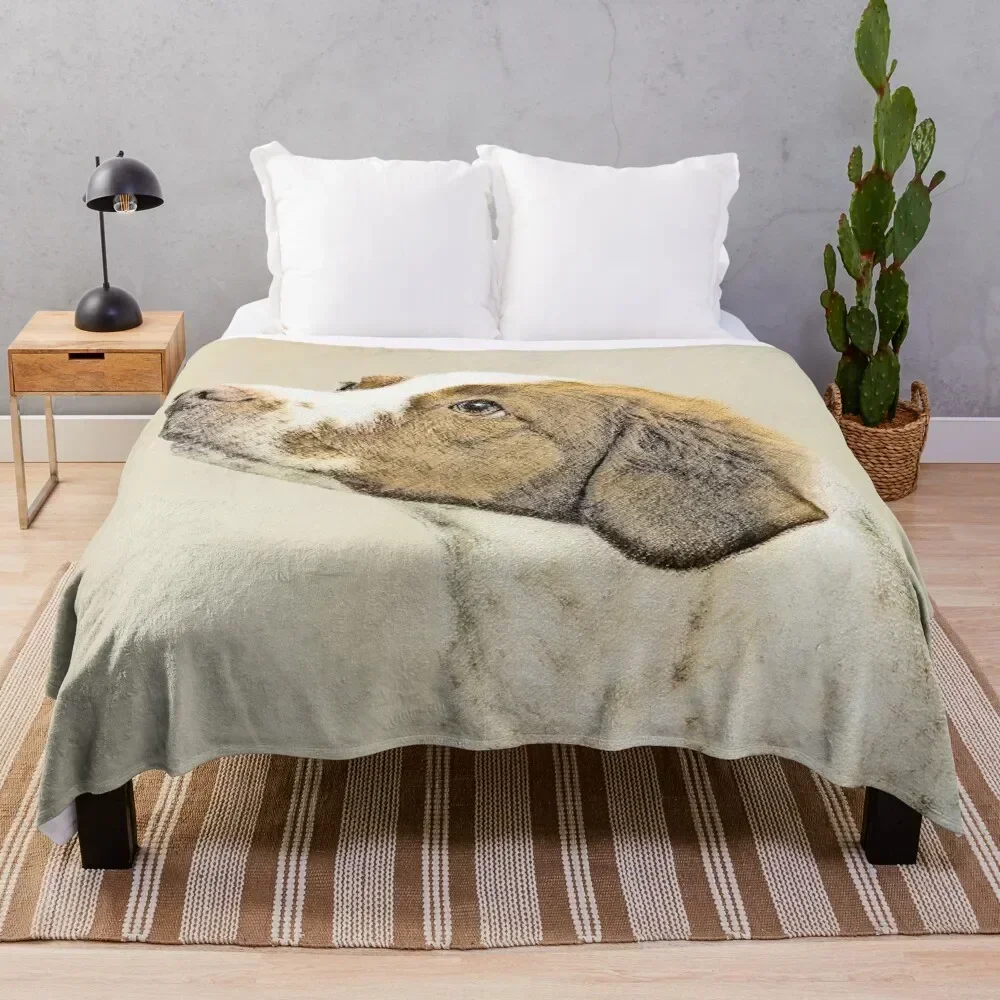 Brittany Throw Blanket Reusable Durable Soft Blanket for All Seasons
Brittany Throw Blanket Reusable Durable Soft Blanket for All Seasons