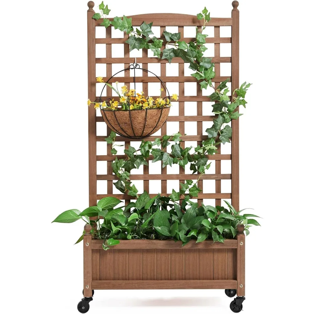 50" H Raised Garden Bed with Trellis & Wheels Standing Vertical Horticulture Planter Box for Vine Climbing Plants, Flowers, Herb
50" H Raised Garden Bed with Trellis & Wheels Standing Vertical Horticulture Planter Box for Vine Climbing Plants, Flowers, Herb