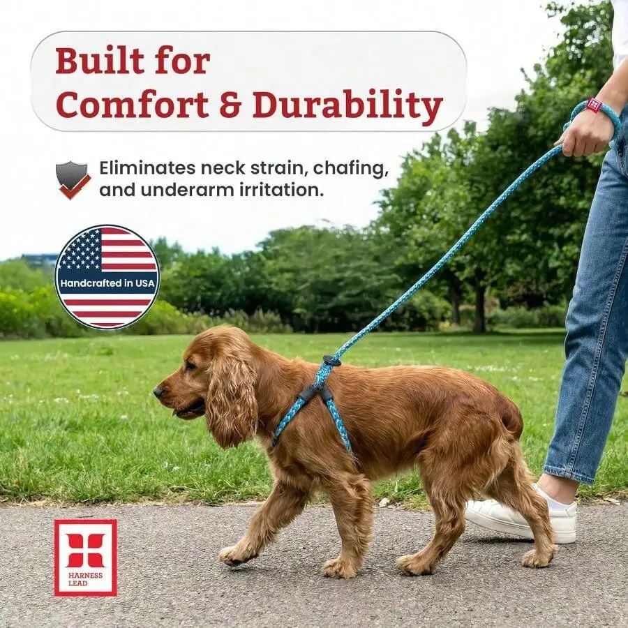 Small Medium Dog Harness & Leash, One-Piece Cushioned Rope, Anti Pull Escape Proof Gear with Reflective Strap, Orange
Small Medium Dog Harness & Leash, One-Piece Cushioned Rope, Anti Pull Escape Proof Gear with Reflective Strap, Orange