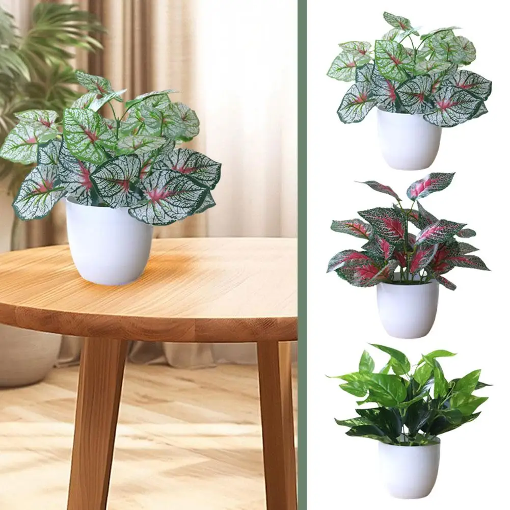 1pcs Plastic Green Plant Potted Plants Artificial Bonsai Taro Evergreen Household Leaves Red Perilla Red Supplies H1V7
1pcs Plastic Green Plant Potted Plants Artificial Bonsai Taro Evergreen Household Leaves Red Perilla Red Supplies H1V7