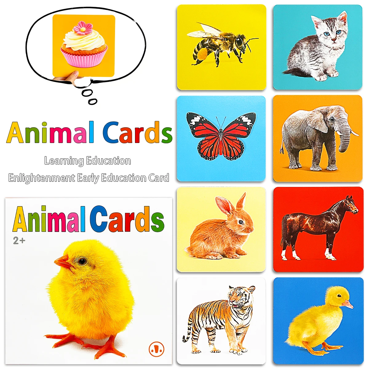 A set of 12 double-sided English educational cards featuring colorful animal illustrations, suitable for teaching purposes.
A set of 12 double-sided English educational cards featuring colorful animal illustrations, suitable for teaching purposes.