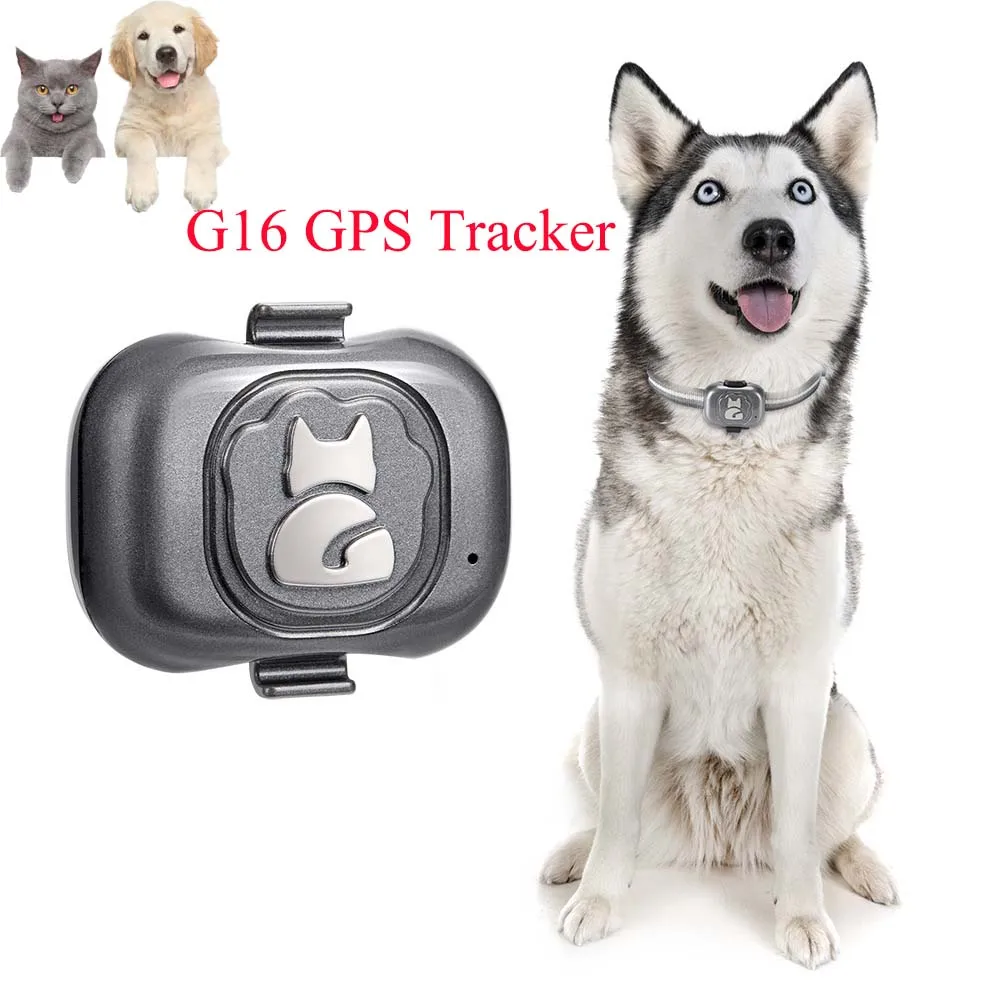 Gps Tracker For Dogs Pet Locator Waterproof Anti-Lost Device Smart Phone Object Finder Small Alarm Cat Anti-Theft Device Collar
Gps Tracker For Dogs Pet Locator Waterproof Anti-Lost Device Smart Phone Object Finder Small Alarm Cat Anti-Theft Device Collar