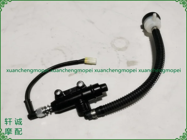 Benelli Imperiale 400 Motorcycle Accessories Rear Oil Pump Brake Pump Rear Brake Upper Pump Brake Switch Brake Cable
Benelli Imperiale 400 Motorcycle Accessories Rear Oil Pump Brake Pump Rear Brake Upper Pump Brake Switch Brake Cable