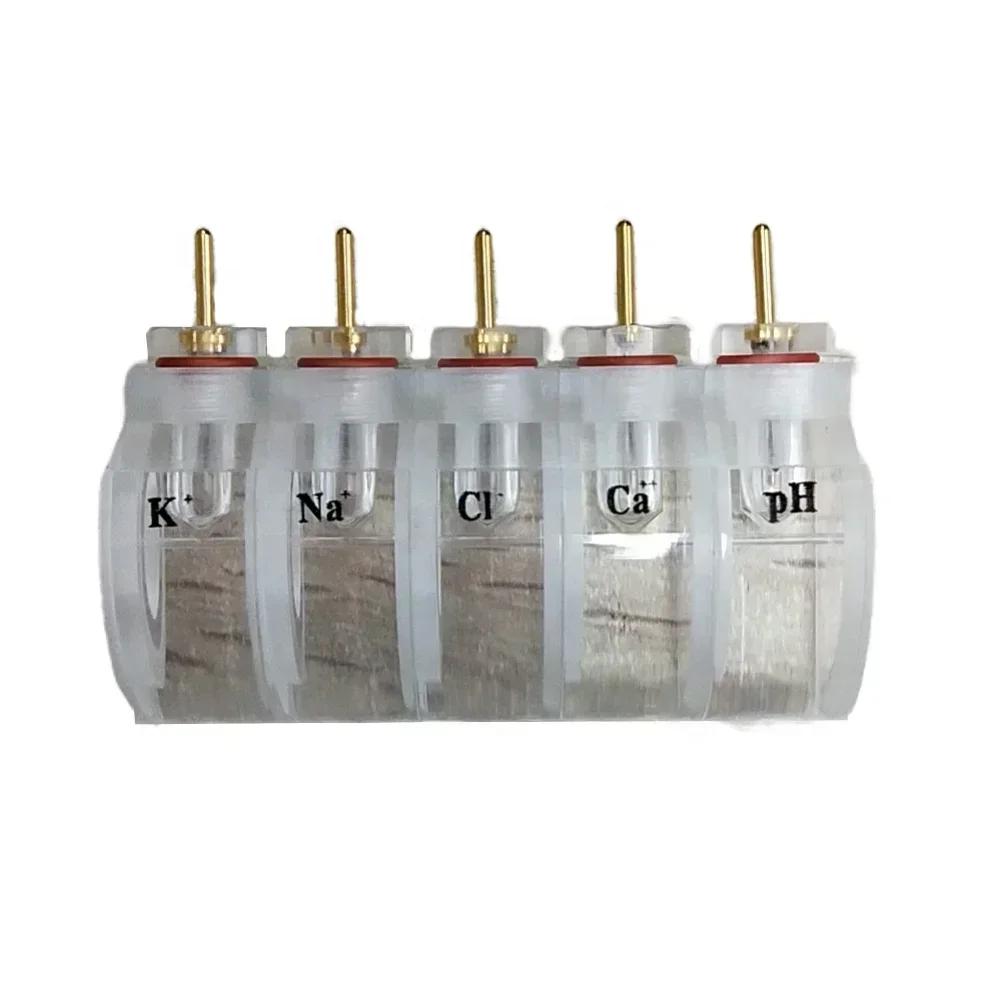 Roche K Na Cl Ca pH ISE electrodo AVL para AVL 9180 9181, Analizador de electrolitos, precio barato
Roche K Na Cl Ca pH ISE electrodo AVL para AVL 9180 9181, Analizador de electrolitos, precio barato