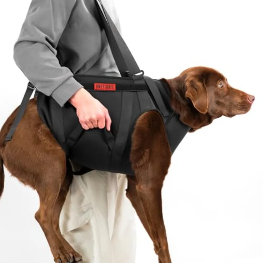 Full Body Dog Carry Sling for Large Dogs, Dog Lift Harness Backpack Carrier with Handles, for Senior Dogs, Joint Injuries, Up a
Full Body Dog Carry Sling for Large Dogs, Dog Lift Harness Backpack Carrier with Handles, for Senior Dogs, Joint Injuries, Up a