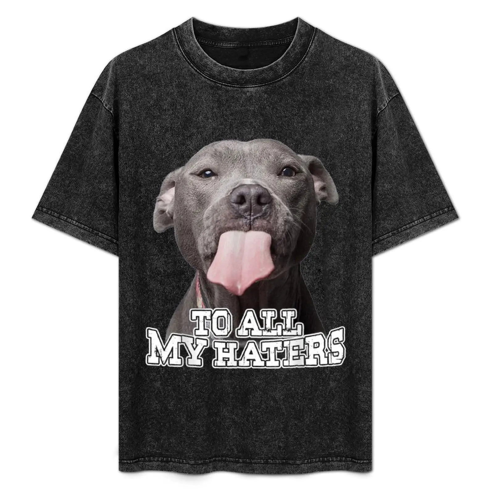 To All My Haters Pitbull Dog T-Shirt Big Size Short Sleeve Tee for Men
To All My Haters Pitbull Dog T-Shirt Big Size Short Sleeve Tee for Men