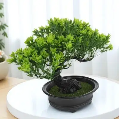 Simulated Bonsai Pine Tree Realistic Artificial Plant For Home Decoration Desktop Adornment Simulation Tree Ornament Faux
Simulated Bonsai Pine Tree Realistic Artificial Plant For Home Decoration Desktop Adornment Simulation Tree Ornament Faux