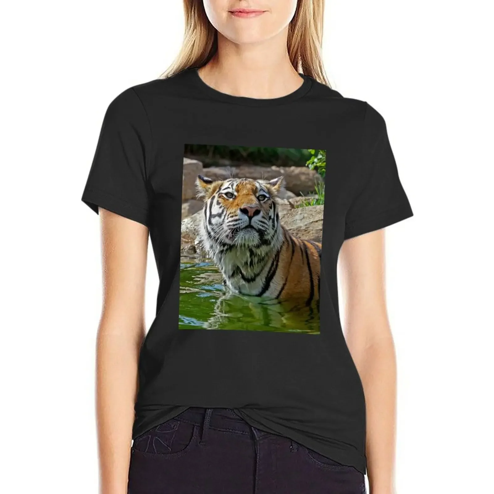 Majestic swimming tigress T-Shirt Female clothing anime clothes funnys plus size tops t shirt dress Women
Majestic swimming tigress T-Shirt Female clothing anime clothes funnys plus size tops t shirt dress Women