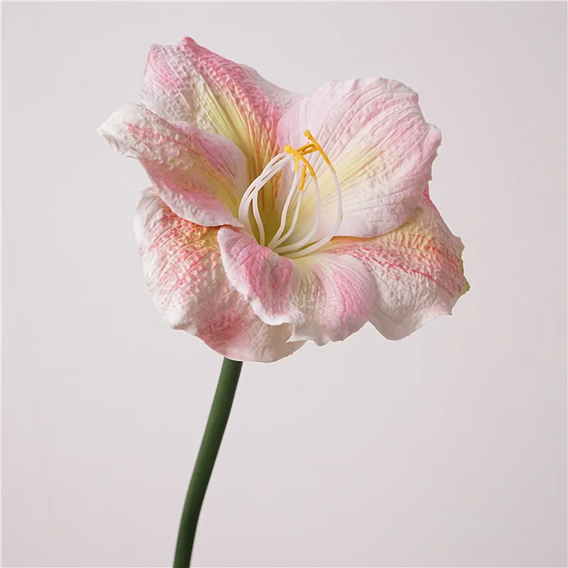 Artificial 2 Pieces Barbadoslily Clivia Hand Touch Artificial Flower Desktop Decor Wedding Party Living Room Outdoor Decoration
Artificial 2 Pieces Barbadoslily Clivia Hand Touch Artificial Flower Desktop Decor Wedding Party Living Room Outdoor Decoration