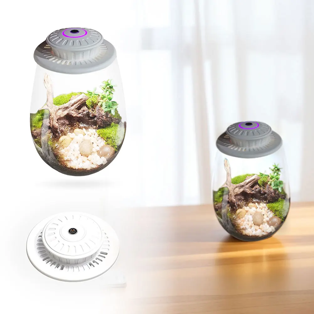 Микроландшафтный светильник для выращивания растений с мехом папоротника с таймером Микропейзажная лампа для выращивания растений Свет для выращивания растений в помещении
Микроландшафтный светильник для выращивания растений с мехом папоротника с таймером Микропейзажная лампа для выращивания растений Свет для выращивания растений в помещении