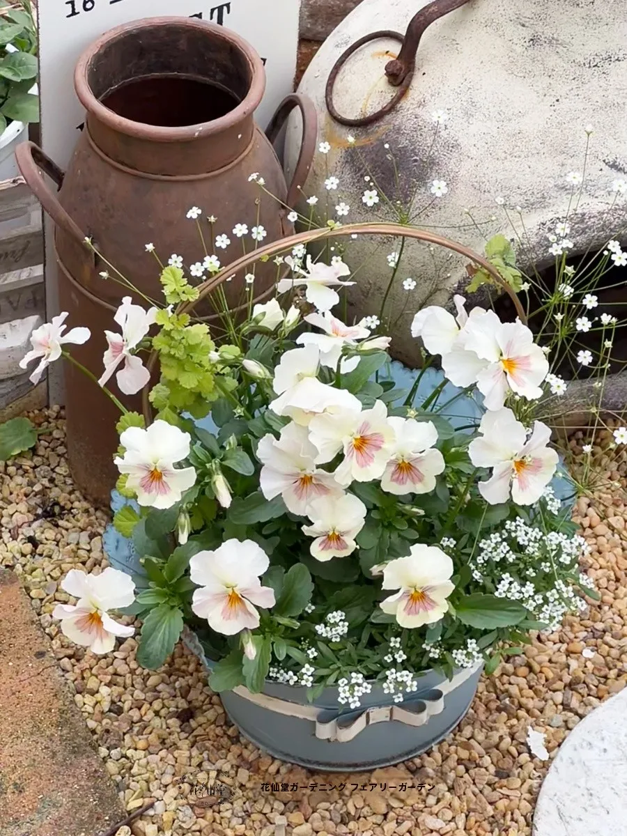 Rustic Iron Art Lace Knot Flower Basket Pot Garden Balcony Decorations Vintage Japanese Sle Floral Arrangements
Rustic Iron Art Lace Knot Flower Basket Pot Garden Balcony Decorations Vintage Japanese Sle Floral Arrangements
