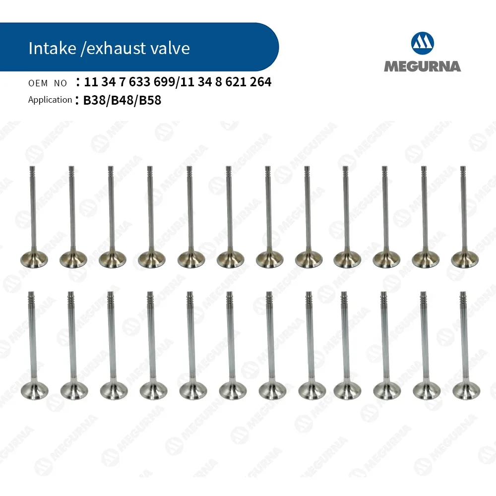 24pcs Intake & Exhaust Valve Kit Fit B38 1.5TL B48 2.0TL B58 3.0TL Gas For BMW 1,2,3,4,5,6,7 series i8 X1 X2 X3 X4 X5 X6 Z4 MINI
24pcs Intake & Exhaust Valve Kit Fit B38 1.5TL B48 2.0TL B58 3.0TL Gas For BMW 1,2,3,4,5,6,7 series i8 X1 X2 X3 X4 X5 X6 Z4 MINI