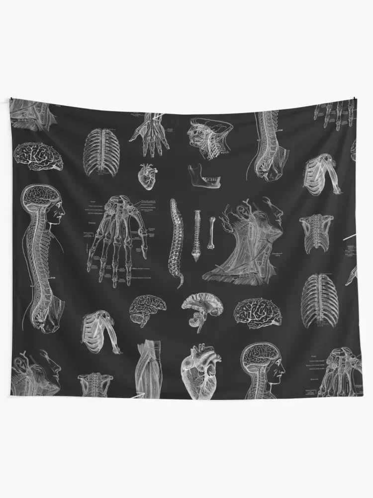 Vintage Anatomy Print Tapestry Luxury Living Room Decoration Decor For Bedroom Home Decorating Tapestry
Vintage Anatomy Print Tapestry Luxury Living Room Decoration Decor For Bedroom Home Decorating Tapestry