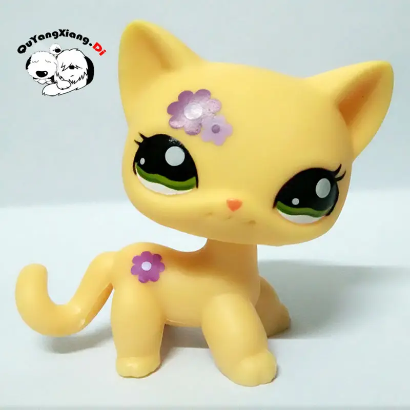 Экшн-фигурка котенка CWM026 Pet Shop, кукла с зелеными глазами и желтым лепестком, редкая кукла
Экшн-фигурка котенка CWM026 Pet Shop, кукла с зелеными глазами и желтым лепестком, редкая кукла