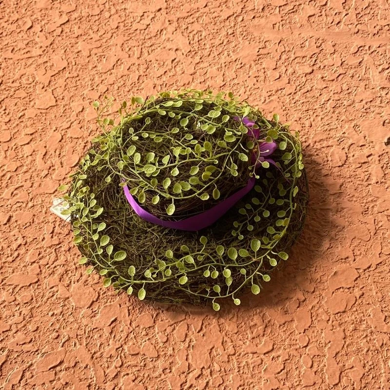 Artificial Plants Leaves Garland Geometric Wrought Iron Wreath Simulation Green Fake Flower Wall Hanging Christmas 15UB
Artificial Plants Leaves Garland Geometric Wrought Iron Wreath Simulation Green Fake Flower Wall Hanging Christmas 15UB