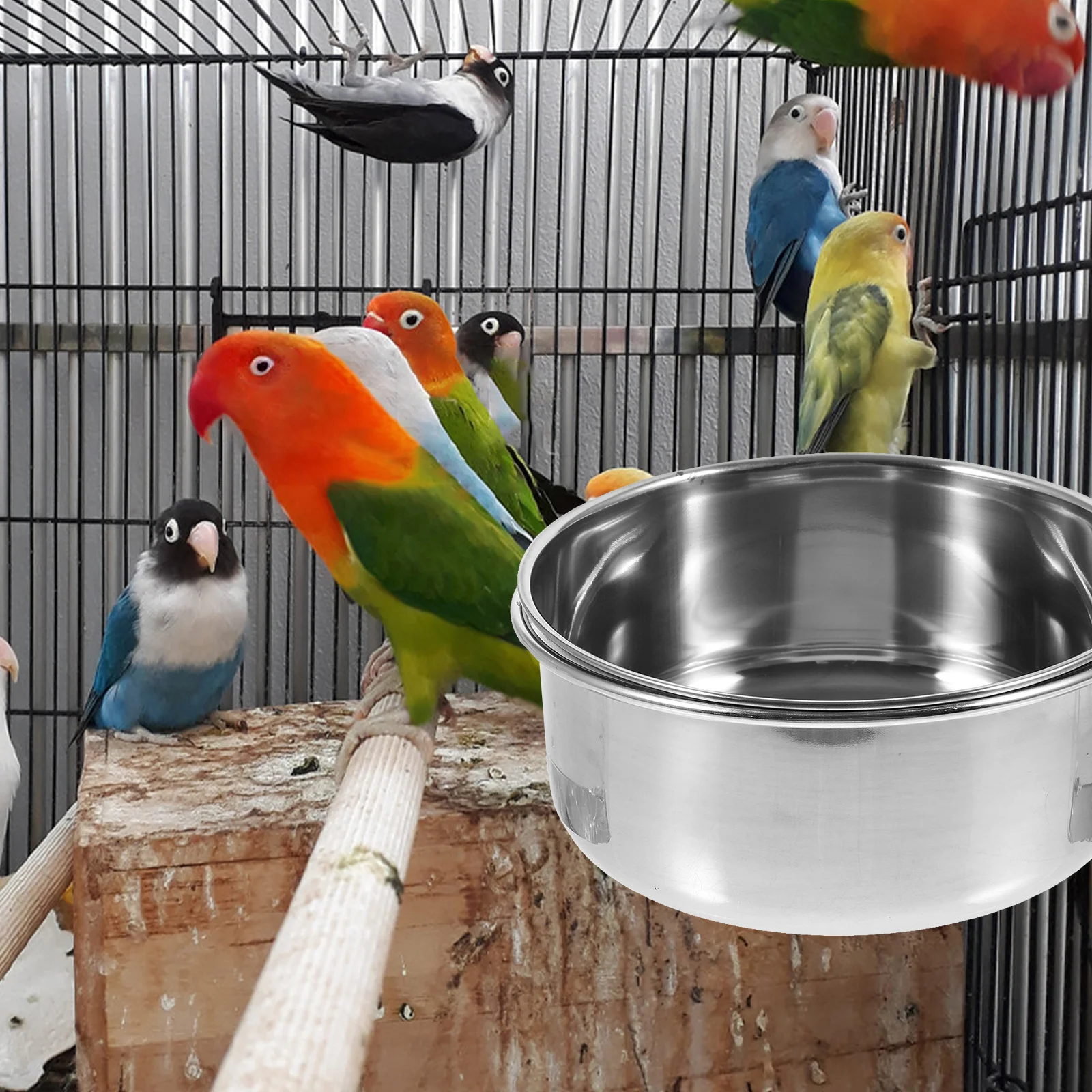Bird Cage Accessories 2Pcs Parakeet Feeder Cup Bird Water Feeder for Indoor Cage Small Bird Food Bowl Pet Supply
Bird Cage Accessories 2Pcs Parakeet Feeder Cup Bird Water Feeder for Indoor Cage Small Bird Food Bowl Pet Supply