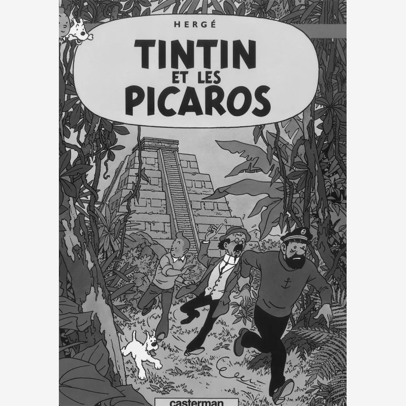 Тинтин Тинтин и Лес Пикарос Herge Casterman 9782203001237 Книга
Тинтин Тинтин и Лес Пикарос Herge Casterman 9782203001237 Книга