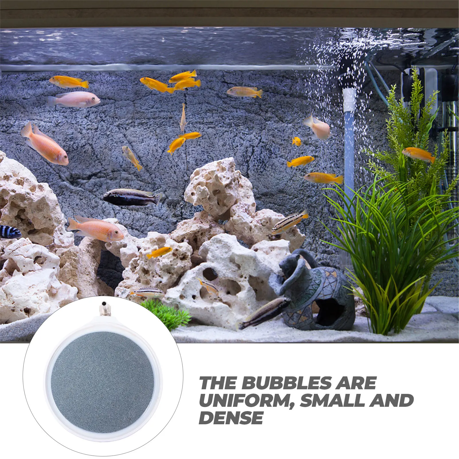 Bubble Stone Airstones for Aquarium Fish Tank Pond Diffuser Nano Material Oxygen Diffuser Lightweight Compact Practical Durable
Bubble Stone Airstones for Aquarium Fish Tank Pond Diffuser Nano Material Oxygen Diffuser Lightweight Compact Practical Durable