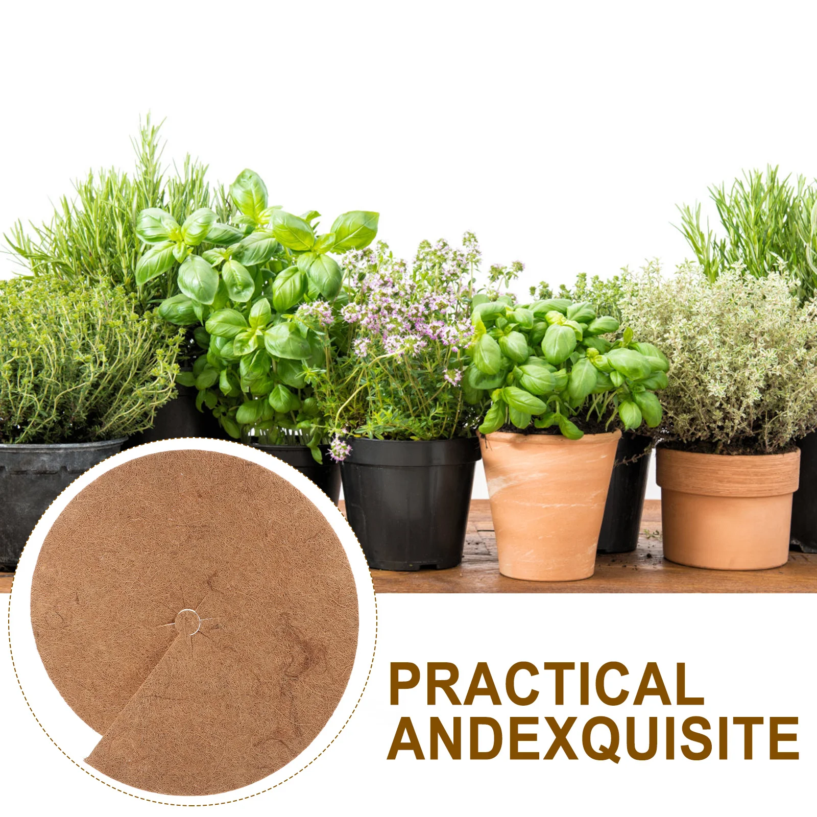 4pcs Natural Coconut Liner Trough Mulch Ring for Garden Tree Trunk Guards Root Protection Winter Heat Mat Plant Base Cover
4pcs Natural Coconut Liner Trough Mulch Ring for Garden Tree Trunk Guards Root Protection Winter Heat Mat Plant Base Cover