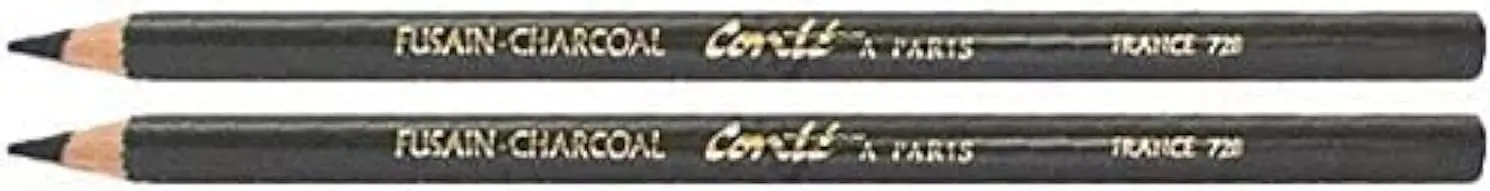 Professional Artists' Pencils Charcoal 2B, Pack of 2 - Ideal for Sketching and Drawing
Professional Artists' Pencils Charcoal 2B, Pack of 2 - Ideal for Sketching and Drawing