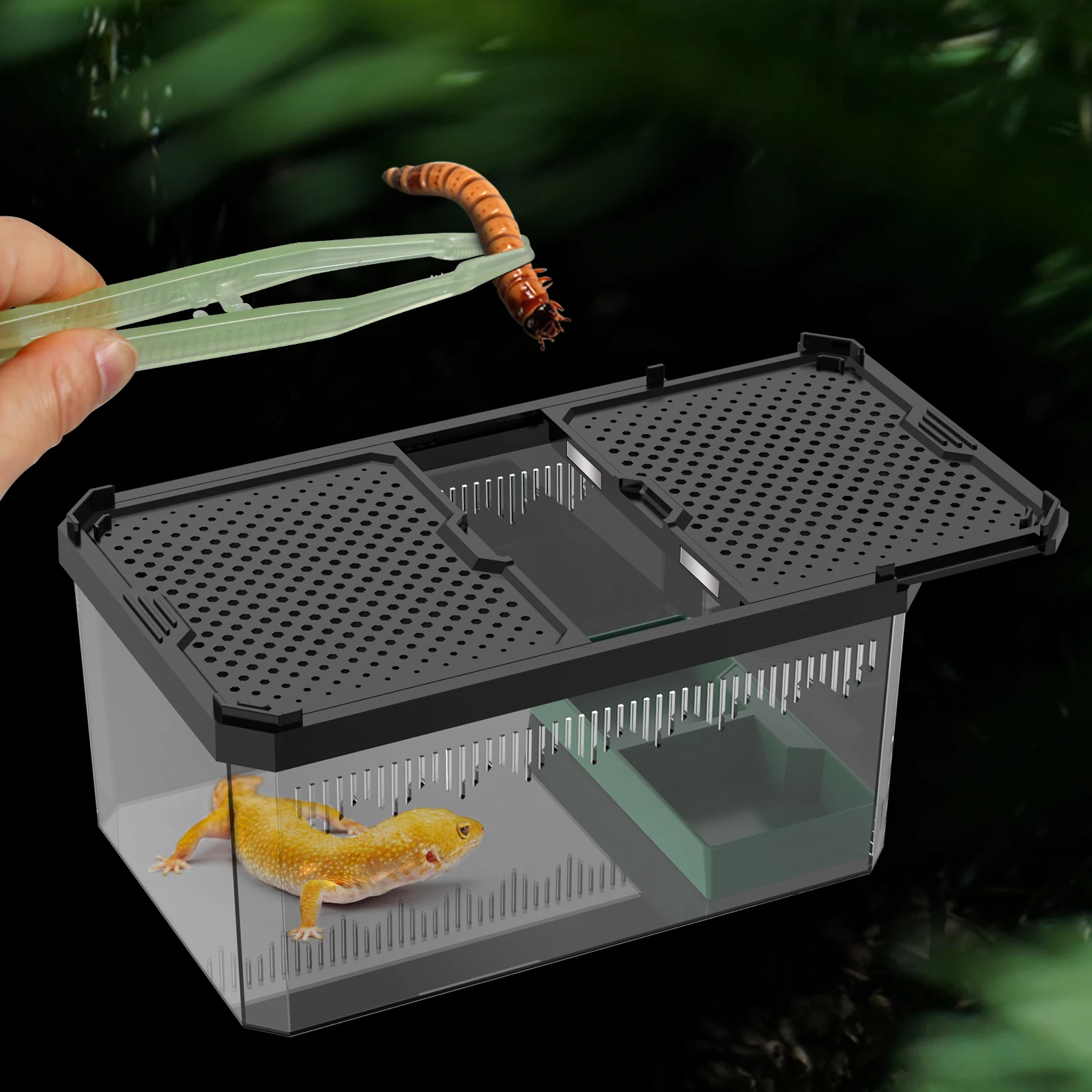 3-piece reptile feeding set, 1 magnetic transparent feeding box, 1 luminous feeding forceps and 1 double bowl for food and water
3-piece reptile feeding set, 1 magnetic transparent feeding box, 1 luminous feeding forceps and 1 double bowl for food and water