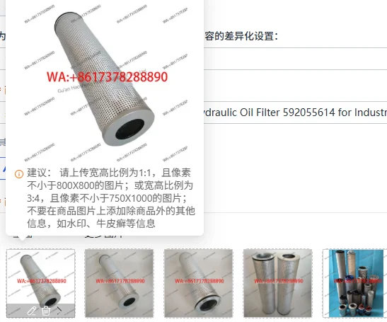 High Performance Replacement Hydraulic Oil Filter 592055614 for Industrial Machinery
High Performance Replacement Hydraulic Oil Filter 592055614 for Industrial Machinery