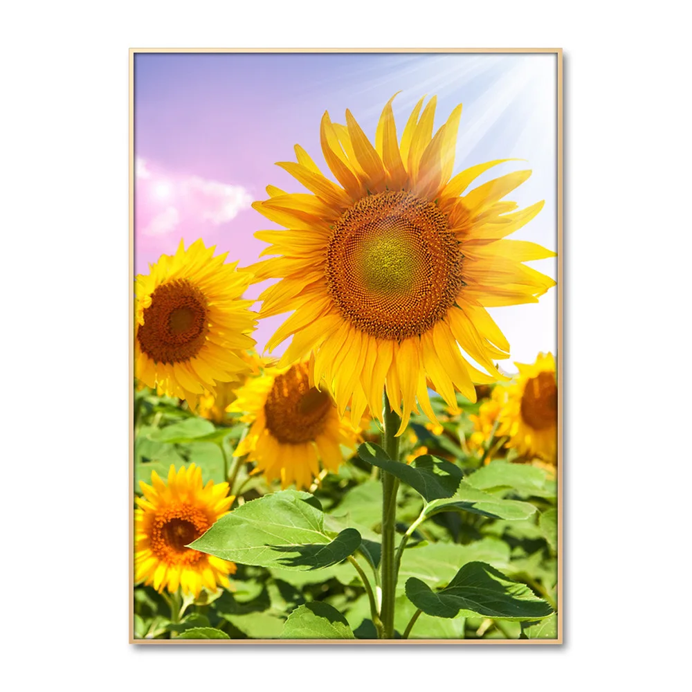 2025 New style Sunflower Cross Stitch Package Plant Sets Printed cloth people kit embroidery DIY handmade needlework Decoration
2025 New style Sunflower Cross Stitch Package Plant Sets Printed cloth people kit embroidery DIY handmade needlework Decoration