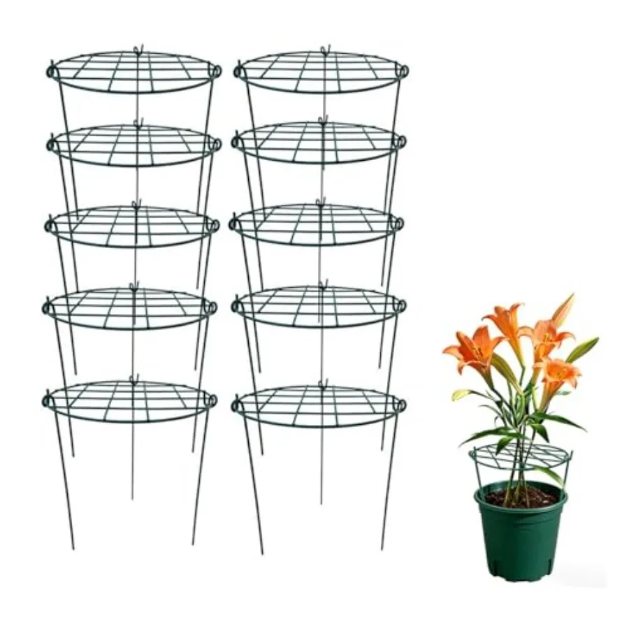 MTB Supply 10 Pack 16 x 24 inch Green Peony Cages for Outdoor Garden Use Heavy-Duty Galvanized Steel Green Rust-Resistant Suppo
MTB Supply 10 Pack 16 x 24 inch Green Peony Cages for Outdoor Garden Use Heavy-Duty Galvanized Steel Green Rust-Resistant Suppo