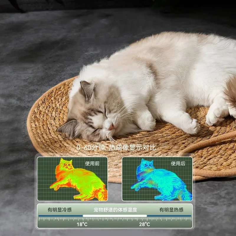 Cat Scratcher Rattan Mat Board Cat Scratch for Sharpen Nails Scraper Cats Tree Cat scratching post Sofa Mats Furniture Protector
Cat Scratcher Rattan Mat Board Cat Scratch for Sharpen Nails Scraper Cats Tree Cat scratching post Sofa Mats Furniture Protector