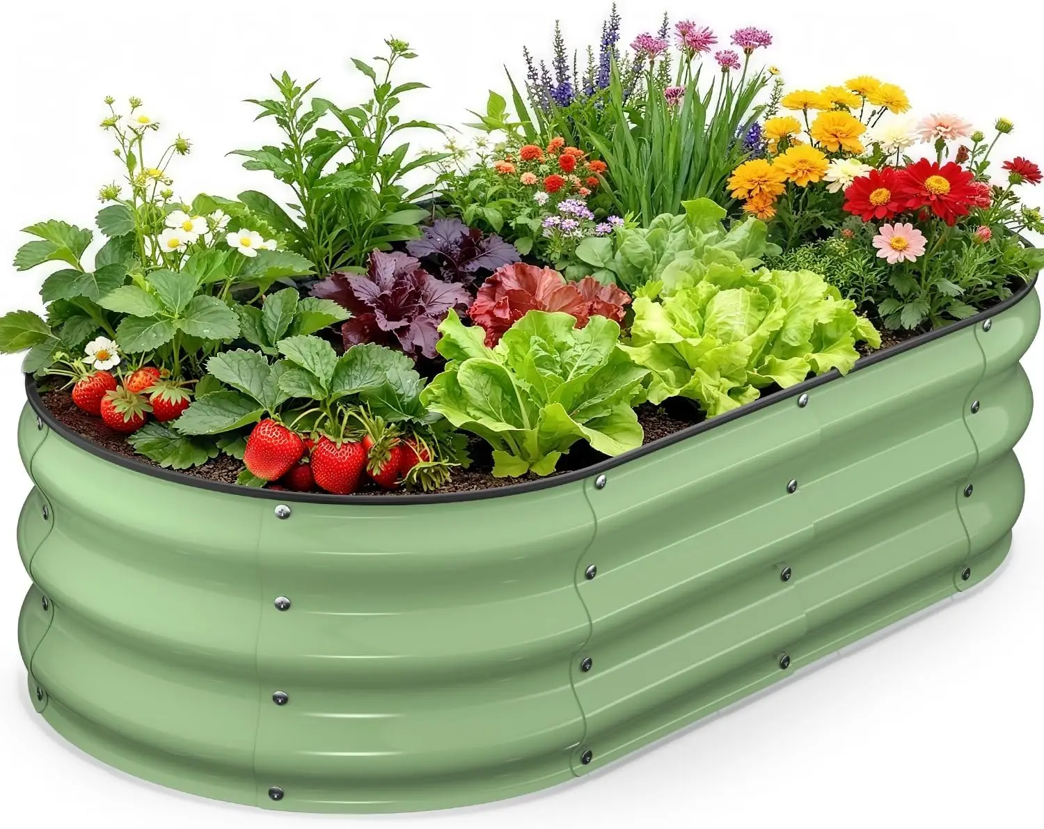 Raised Garden Bed 4x2x1 FT, Galvanized Metal Planter Box, Vegetable Planting Container with Safety Edge Trim, Hardware & Gloves
Raised Garden Bed 4x2x1 FT, Galvanized Metal Planter Box, Vegetable Planting Container with Safety Edge Trim, Hardware & Gloves