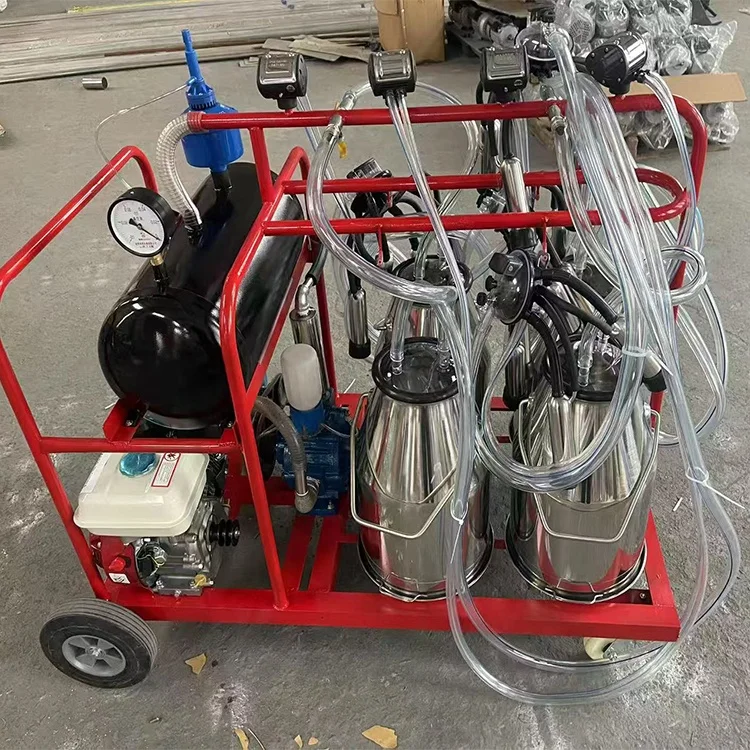 Wholesale Prices Single Double Bucket Cow Milking Machine/ Stainless Steel 6 Bucket Milking Machine/ 3 Bucket Milking Machine
Wholesale Prices Single Double Bucket Cow Milking Machine/ Stainless Steel 6 Bucket Milking Machine/ 3 Bucket Milking Machine