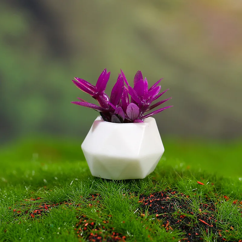 Dollhouse Miniature Potted Plants Green Plant In Pot Home Decoration Accessories Toy
Dollhouse Miniature Potted Plants Green Plant In Pot Home Decoration Accessories Toy