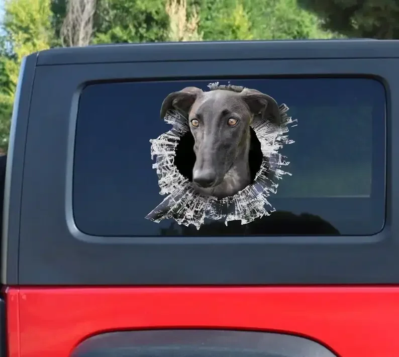 Spanish Galgo dog window decal, Spanish Galgo dog sticker, Galgo dog car decal
Spanish Galgo dog window decal, Spanish Galgo dog sticker, Galgo dog car decal