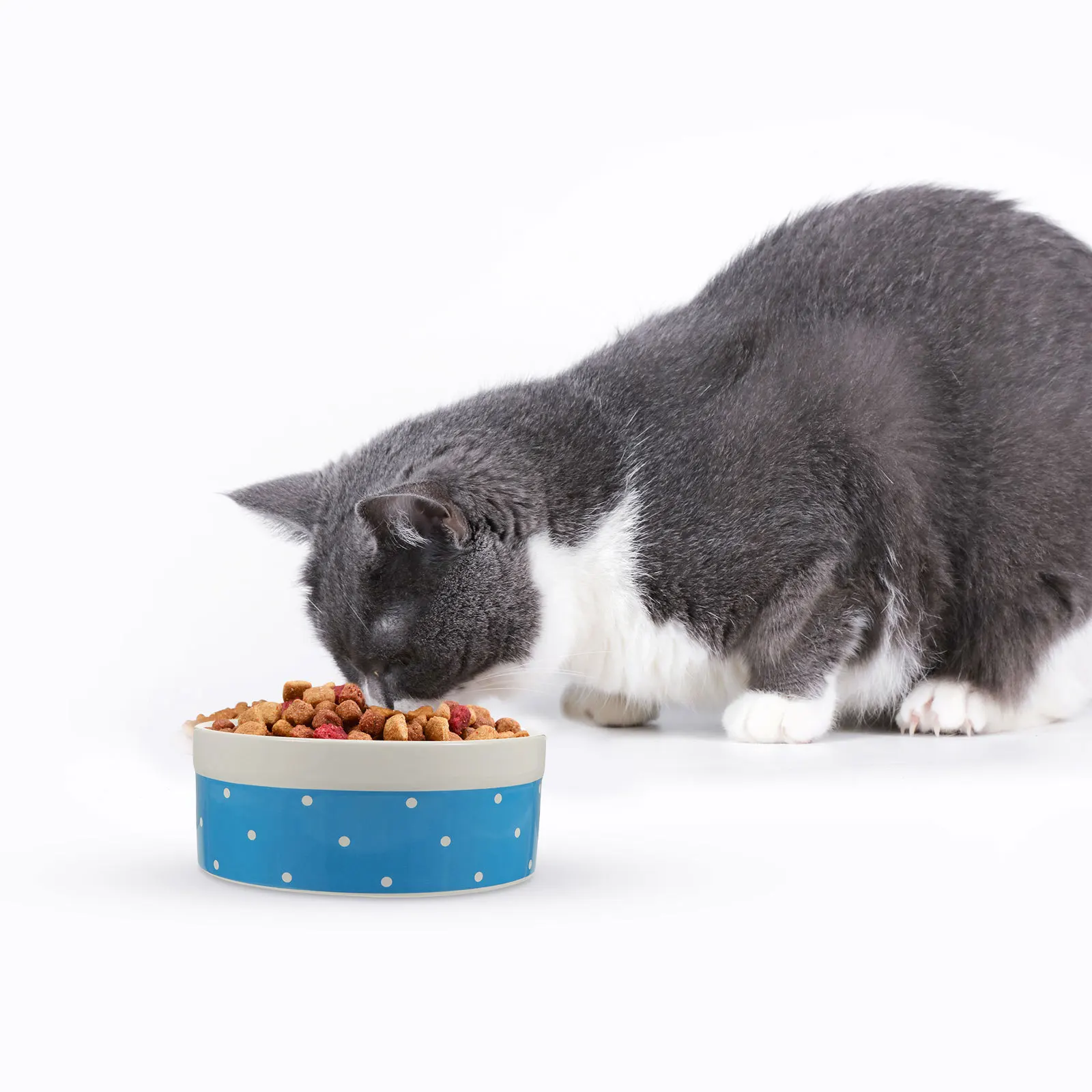 Ceramic Pet Bowl Odorless Food Grade Safe Material Comfortable Cat Dog Feeding Dish Puppy Feeder Bowl for Home Cage Decoration
Ceramic Pet Bowl Odorless Food Grade Safe Material Comfortable Cat Dog Feeding Dish Puppy Feeder Bowl for Home Cage Decoration