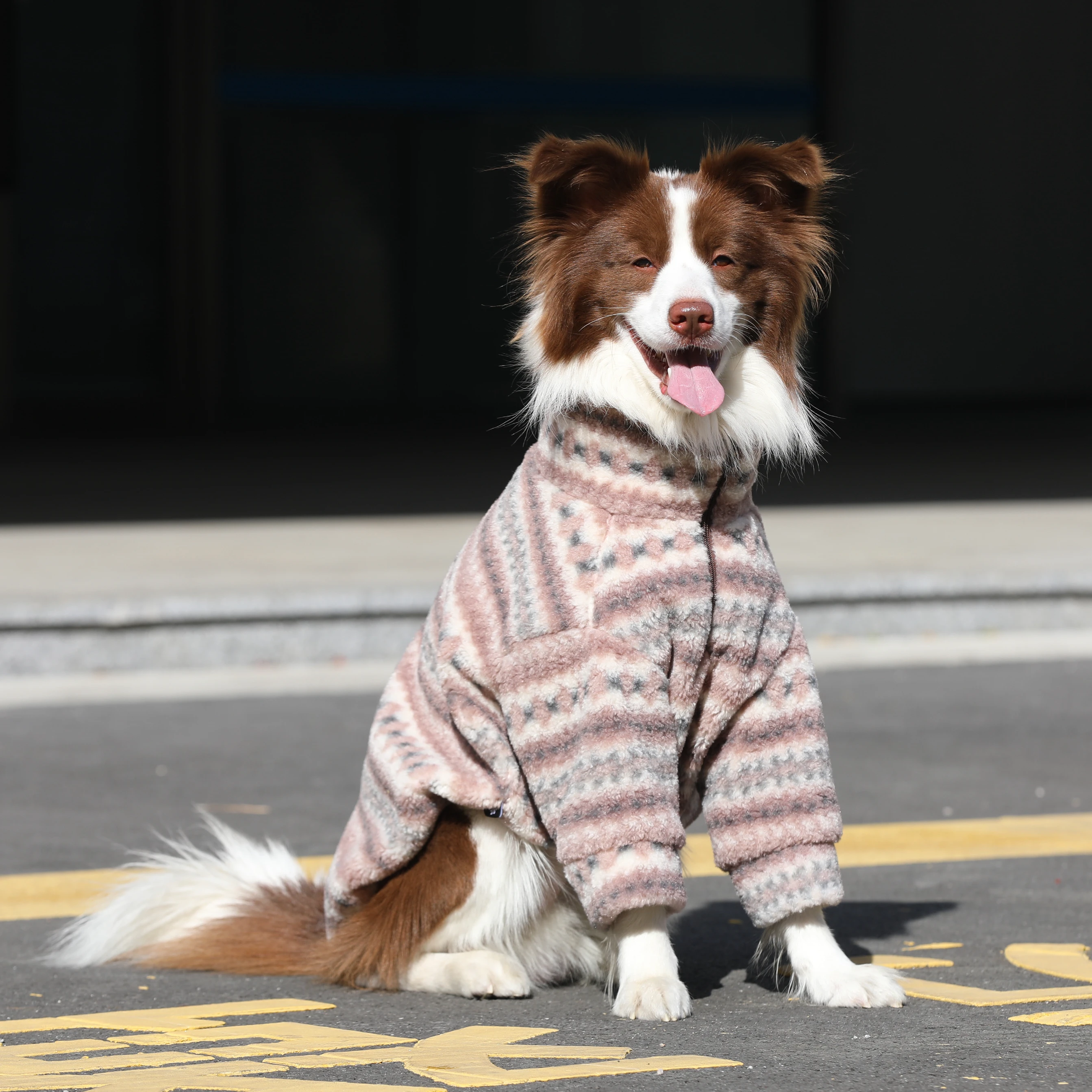 Thickened Fleece Dog Clothes for Large Dogs Golden Retriever Border Collie Autumn Winter Warm Pet Winter Clothes Dog Sweater
Thickened Fleece Dog Clothes for Large Dogs Golden Retriever Border Collie Autumn Winter Warm Pet Winter Clothes Dog Sweater