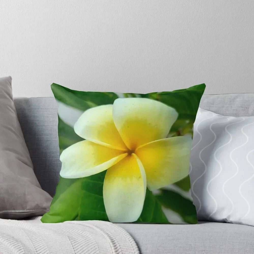 Plumeria Paradise Throw Pillow Sofa Cushion Cover Bed pillowcases pillow pillowcase pillow
Plumeria Paradise Throw Pillow Sofa Cushion Cover Bed pillowcases pillow pillowcase pillow